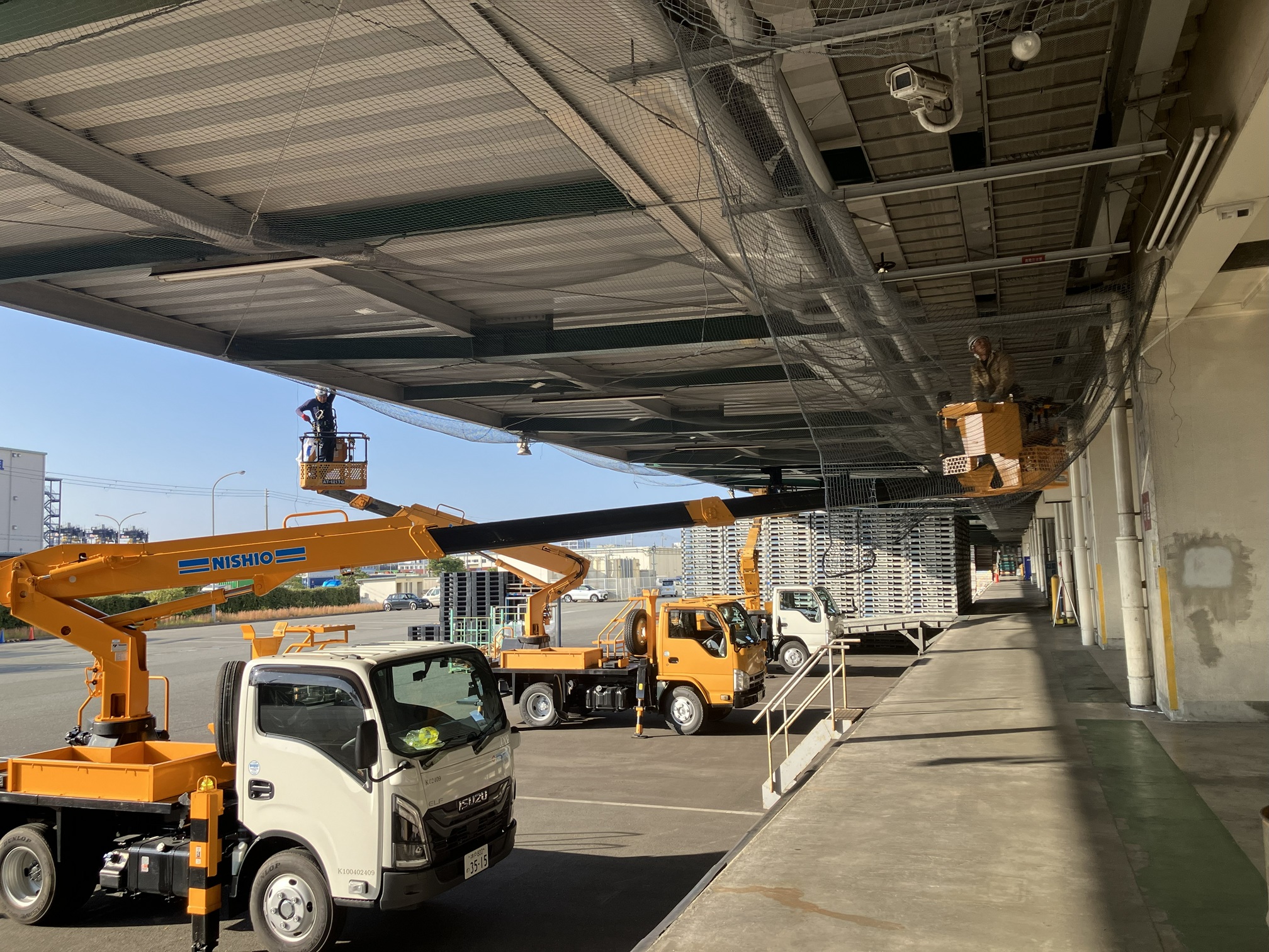 鳥害対策用ネット仮撤去工事（ポートアイランド物流センター）